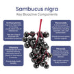 Hydralyte - Elderberry Immune - Berry Blast (10ct)
