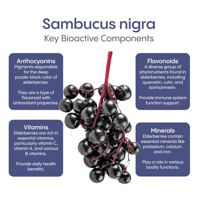 Hydralyte - Elderberry Immune - Berry Blast (10ct)