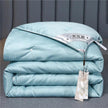 Summer Quilt Spring And Autumn Thickening Thermal Winter Duvet