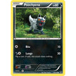Poochyena (53/119) (PHF)