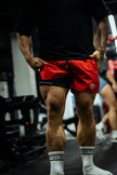STAY OBSESSED SHORTS