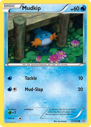 Mudkip 33/160 - XY  Primal Clash