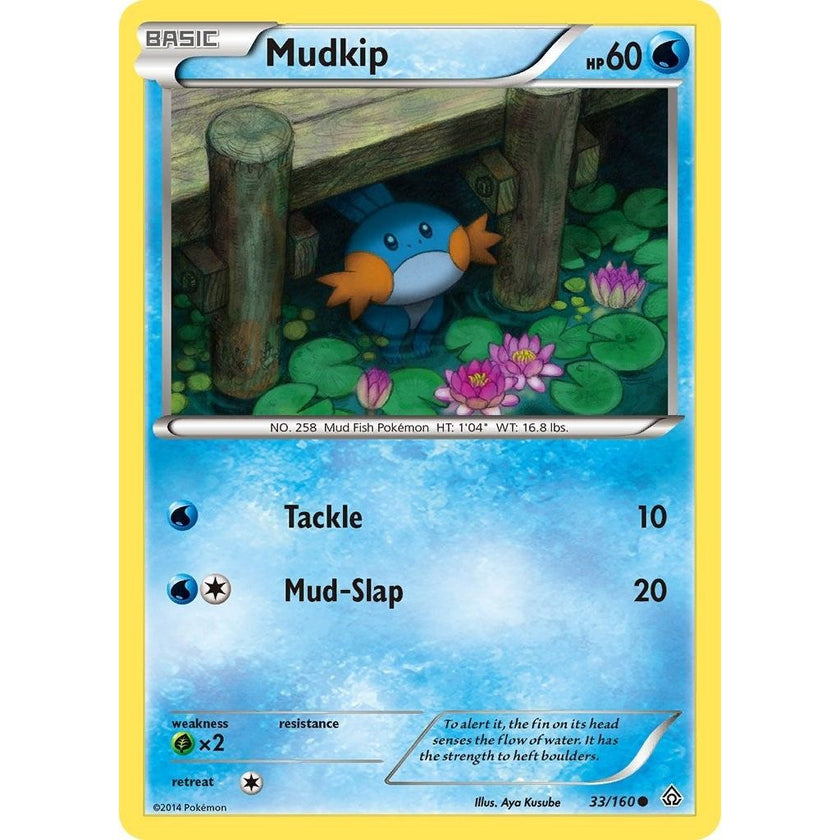 Mudkip (33/160) (PRC)