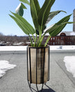 Neva - Brass Planter With Black Stand
