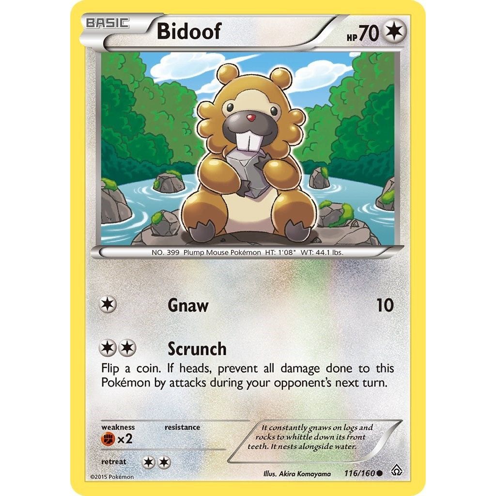 Bidoof (116/160) (PRC)