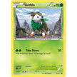 Skiddo - XY11 (XY11) (PR)