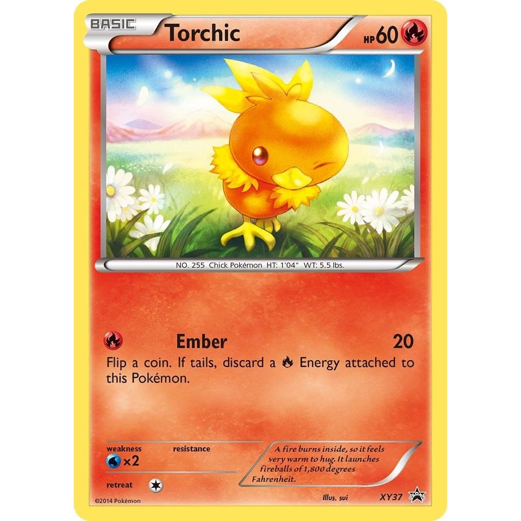 Torchic - XY37 (XY37) (PR)