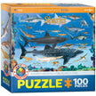 Eurographics Puzzles Canada - Sharks - Premium Quality
