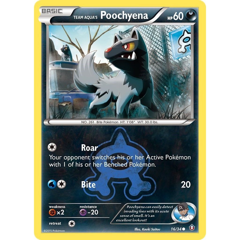 Team Aqua's Poochyena (16/34) (DCR)