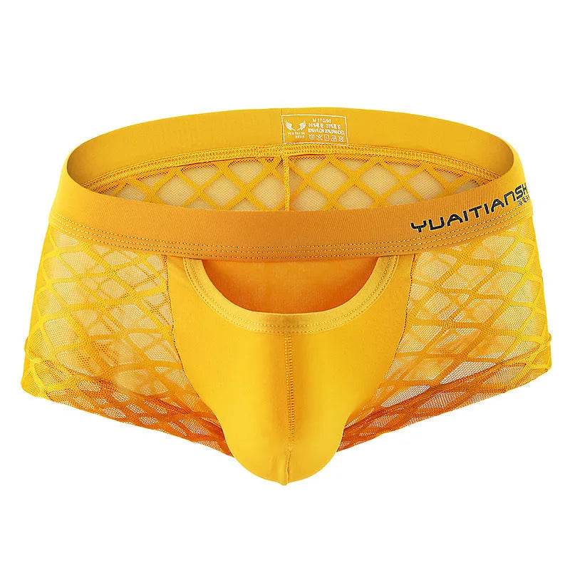 All- match Men's Underwear Breathable Nylon Mesh Boxer Briefs