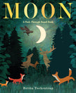 Moon: A Peek-Through Board Book | Books