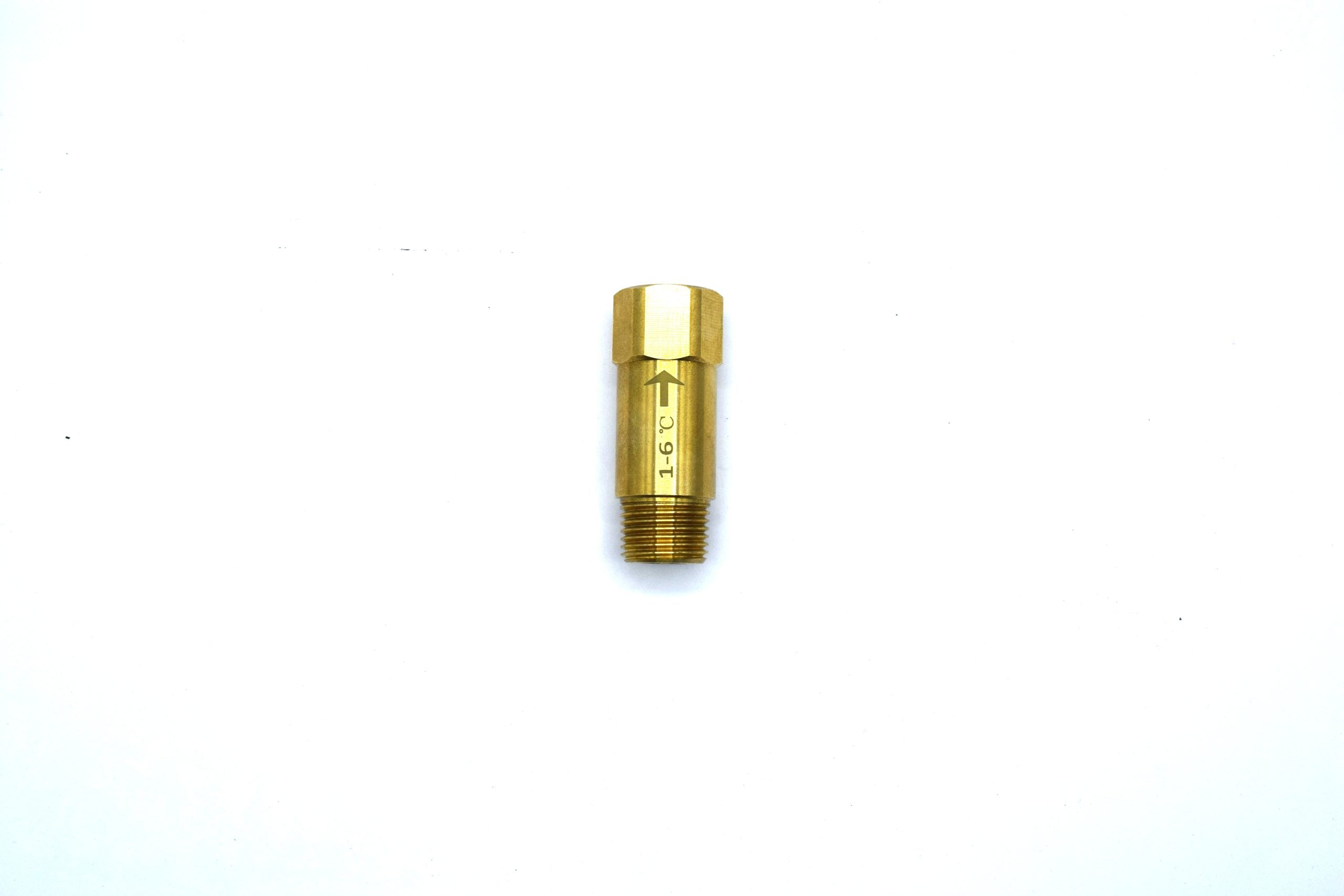 Anti-freeze Valve (NPT 1/2