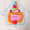 Kids Plush Anatomy Apron Toy | Learn Body Organs Canada USA
