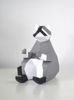 Raccoon