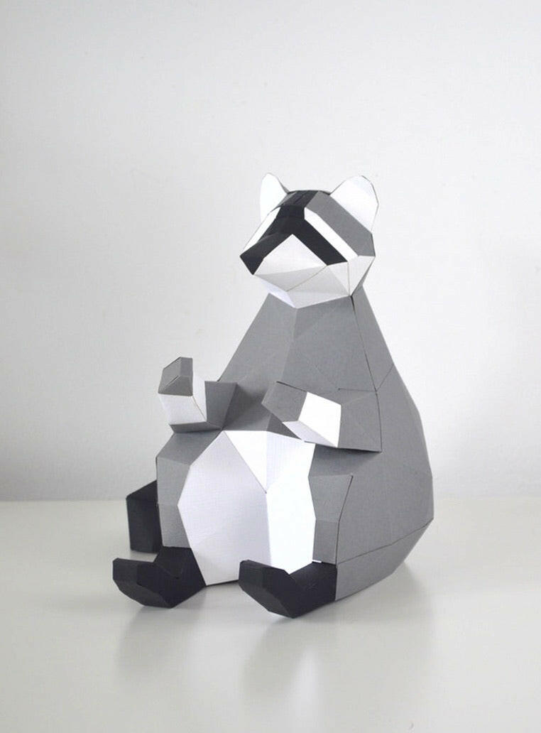 Raccoon