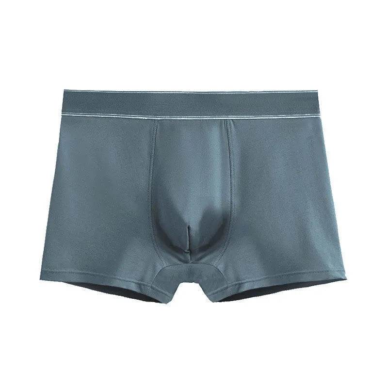 Men's Cotton Graphene Boxers short with pouch Underwear