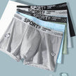 Men's Underwear Mid Waist Mesh Ice Silk Mesh SPORT Boxer Brief