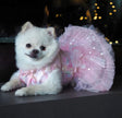 Tinkerbell Dog Dress – Luxury Fairy-Inspired Outfit for Dogs