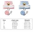 Starshine Set