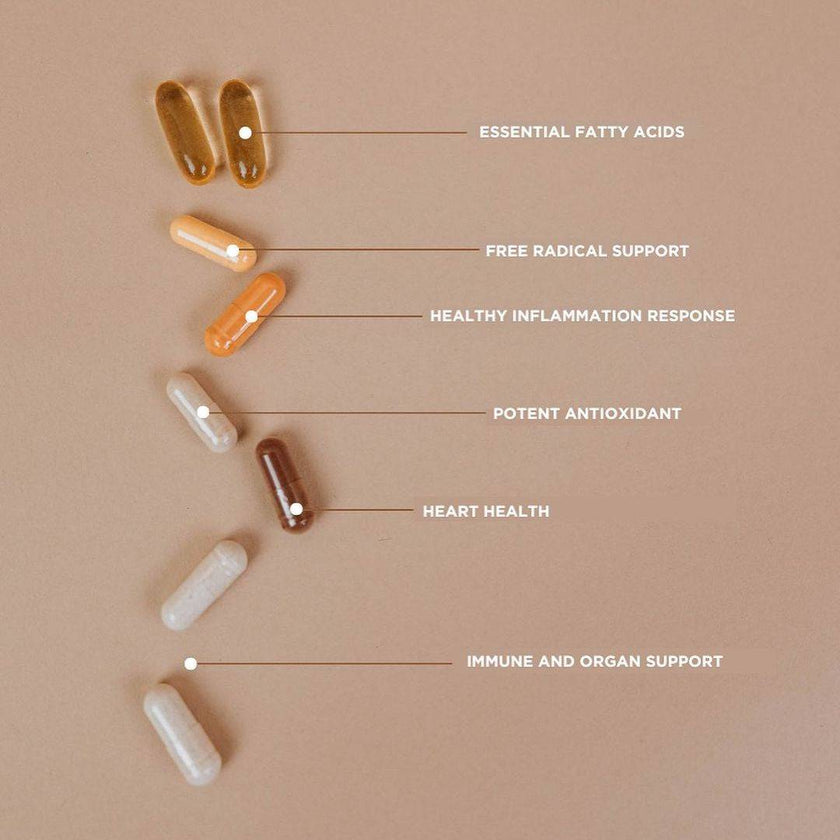 Revive Essential Vitamin Pack