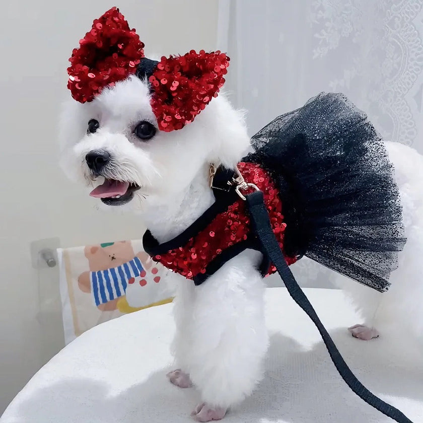 Giselle Noir Dog Dress Set | Formal Dress with Matching Bow