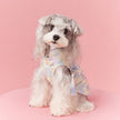Butterfly Dog Kimono Dress | Dog Dress for Special Occasions