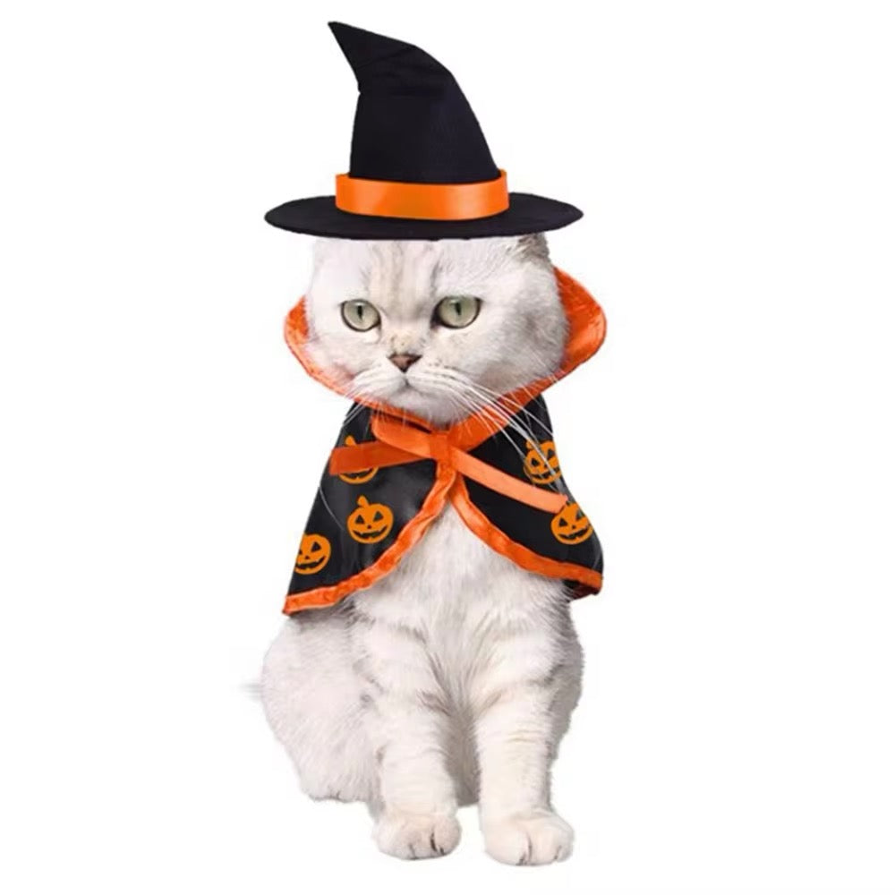 Pumpkin Witch Halloween Costume for Dogs – Fall Dog Outfit