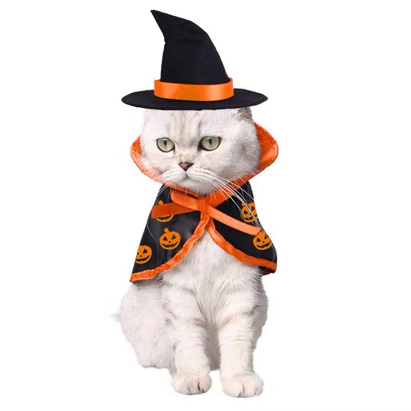 Pumpkin Witch Halloween Costume for Dogs – Fall Dog Outfit