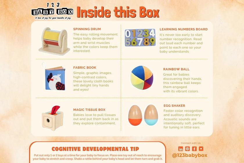 123 Baby Box - 5-6 Months Montessori Educational Box