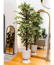 Olaya Artificial Ficus Potted Plant 6'