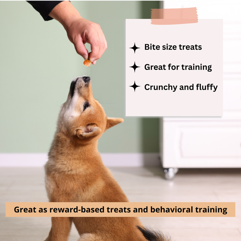 Yak Cheese Puffs for Dogs – Original