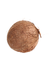 Pooja Coconut Fresh