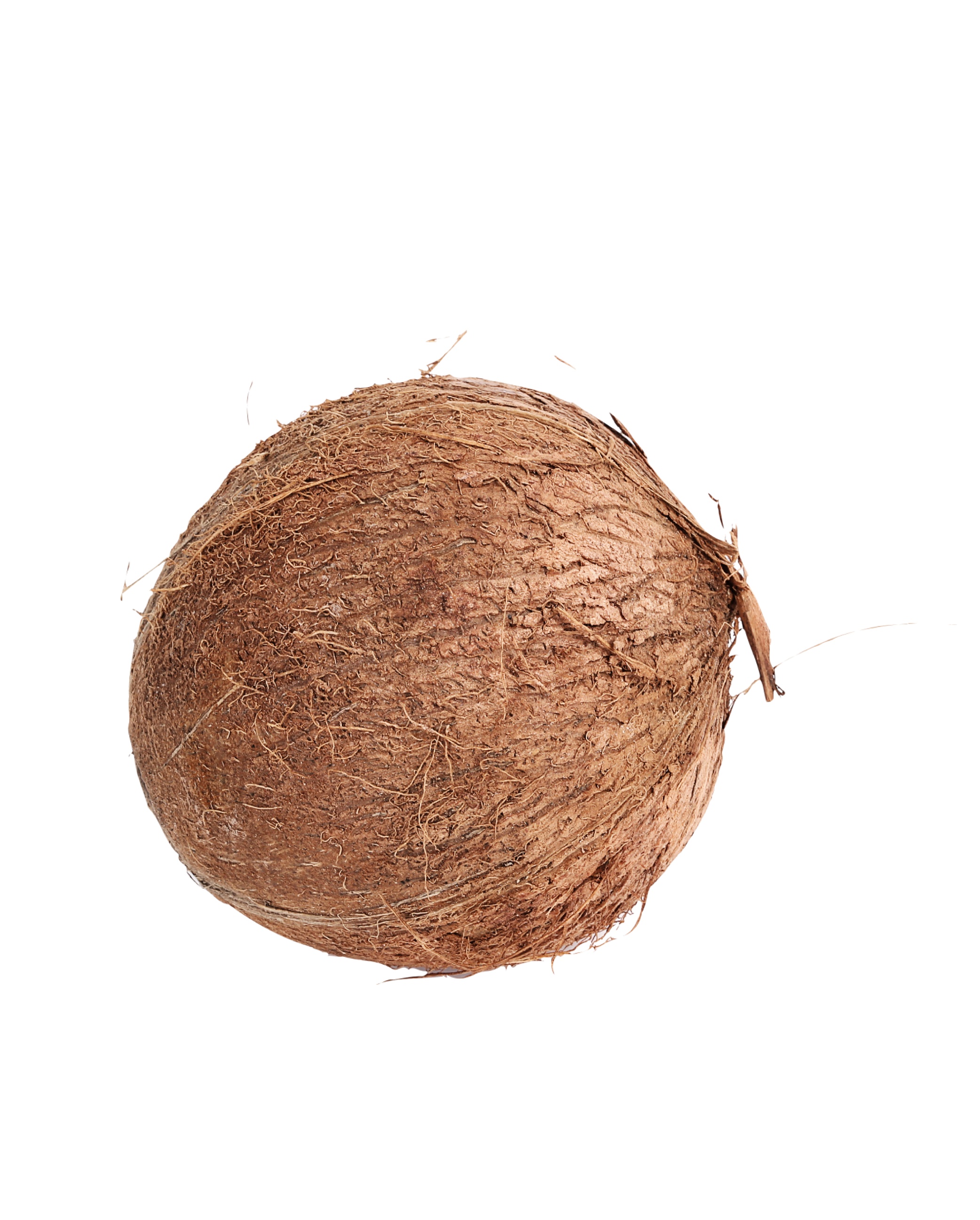 Pooja Coconut Fresh