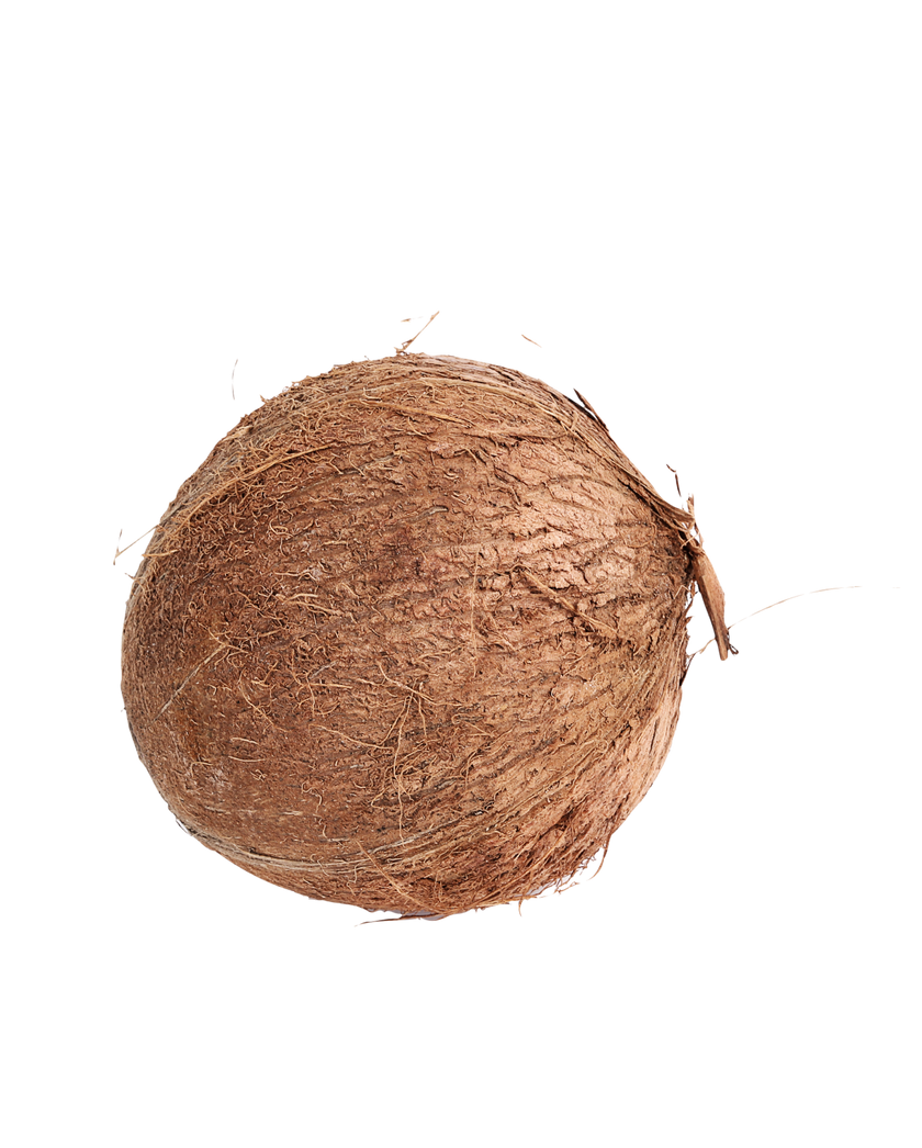 Pooja Coconut Fresh