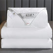 Summer Quilt Spring And Autumn Thickening Thermal Winter Duvet