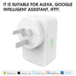 WiFi Smart Plug with Timer and Voice Control