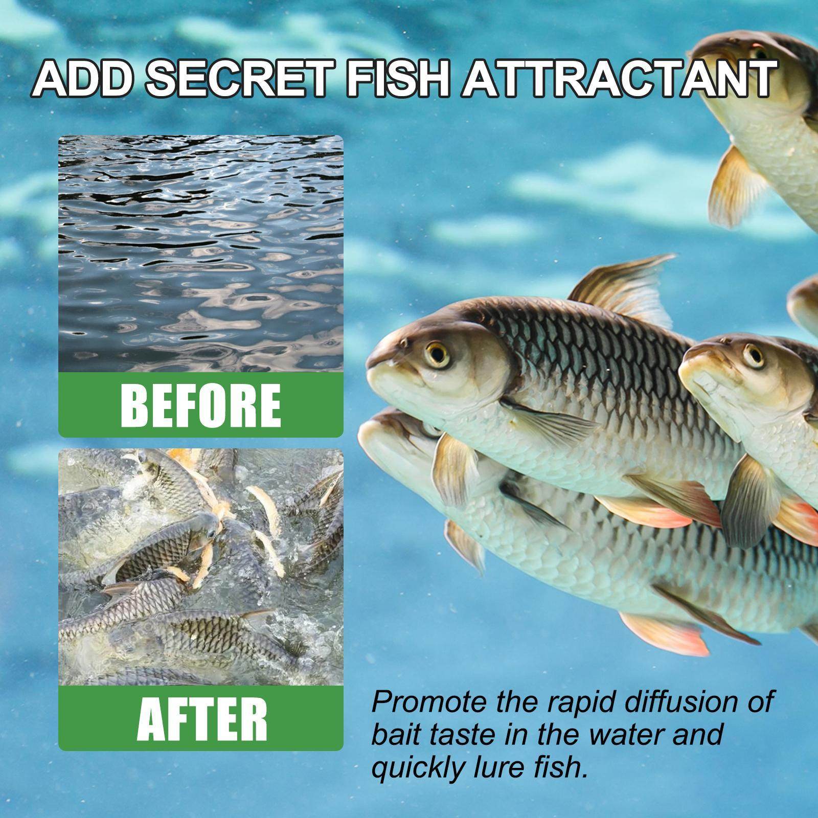 Igbang Wild Fishing Bait Small Medicine Fish Attractant
