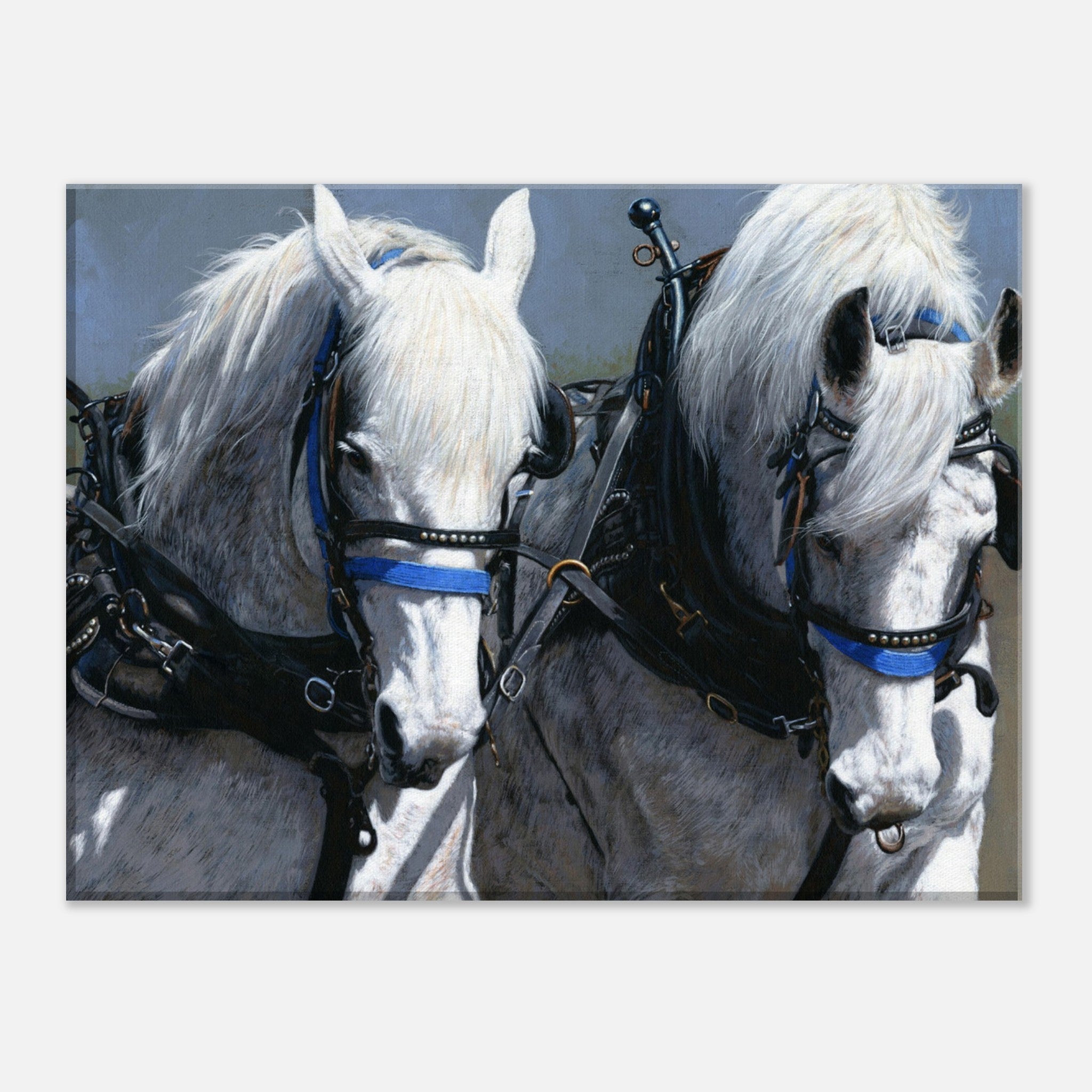 POWER AND GRACE Canvas Print