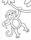 Peter Pauper Press - My First Coloring Book! Animals