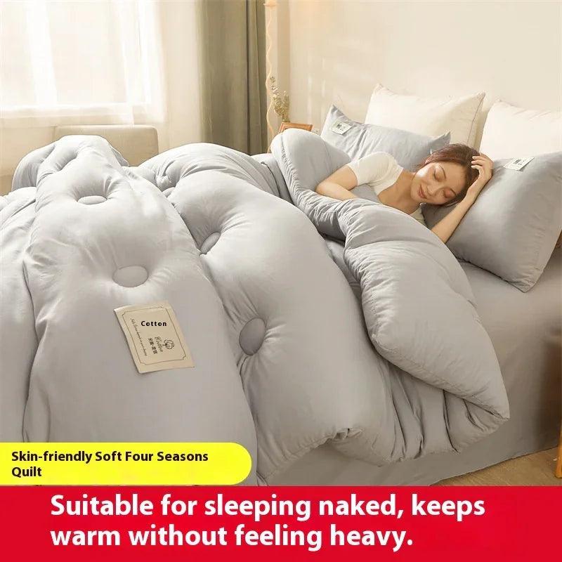 Airable Cover Double Thickened Cotton Duvet Insert