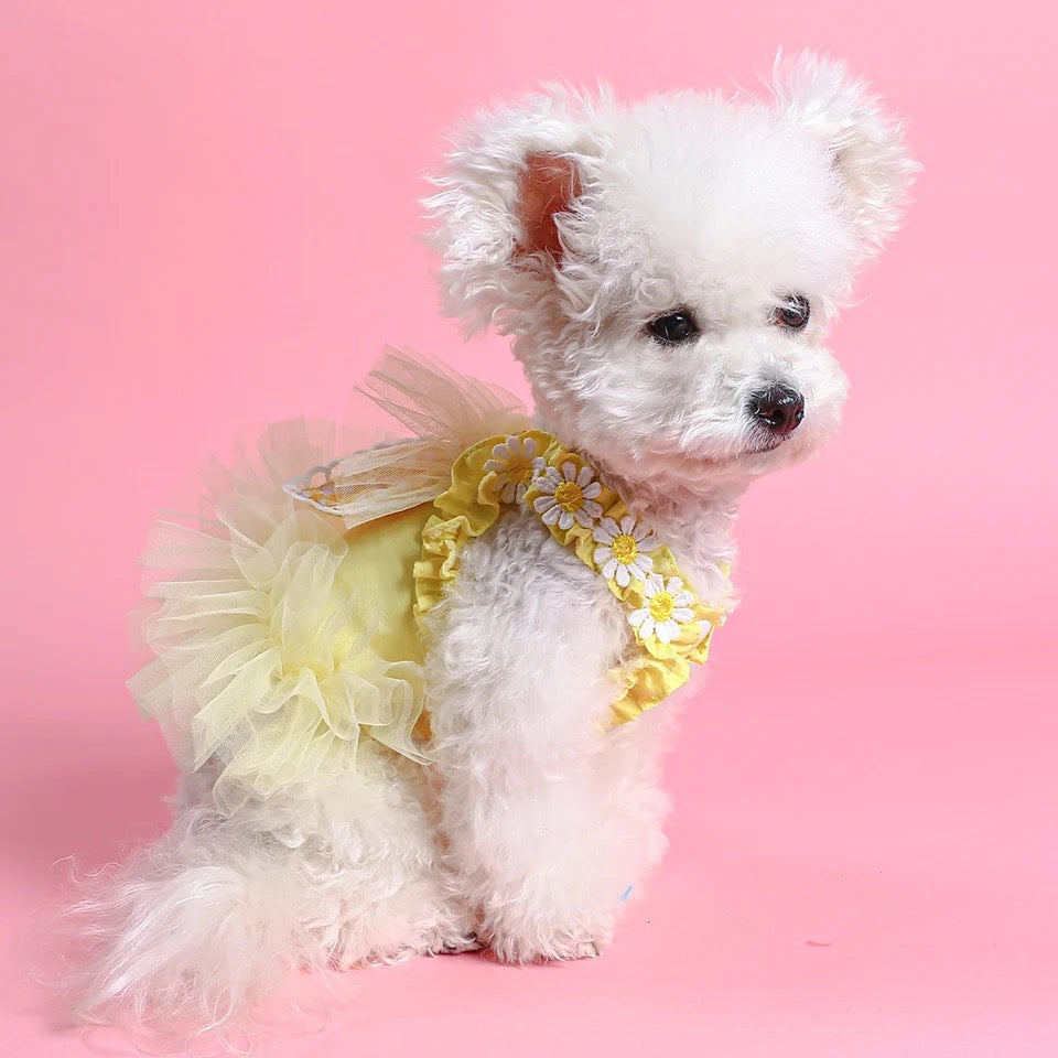 Easter Bunny Dress