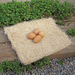 Precision Pet 7029162 Excelsior Nesting Pads 🍁 All In One Marketplace Canada