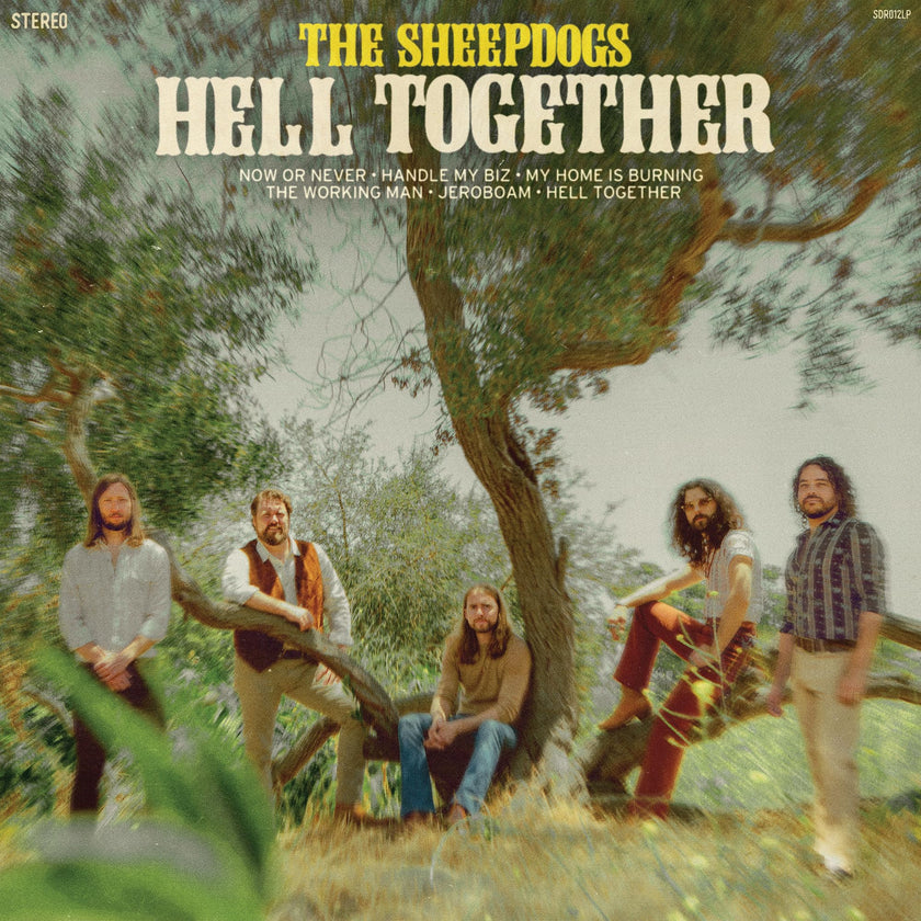 The Sheepdogs / Hell Together - CD