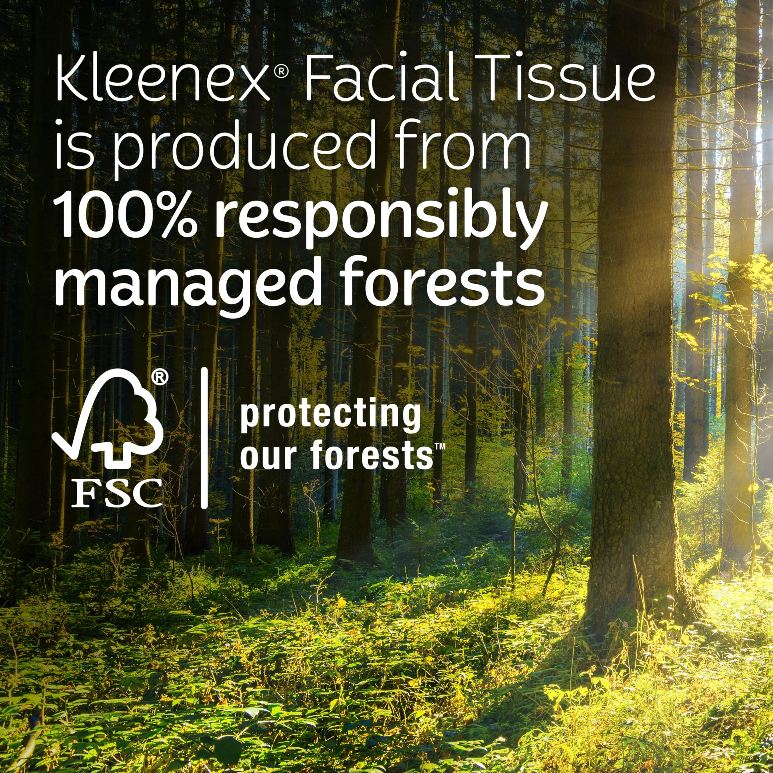 Kleenex Hand Towels, Single-Use Disposable Paper Towels, 6 Boxes, 60 Towels Per Box (360 Towels Total) 🍁 All In One Marketplace Canada