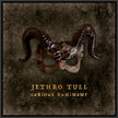 Jethro Tull / Curious Ruminant (Special Edition Cd Digipak) - CD