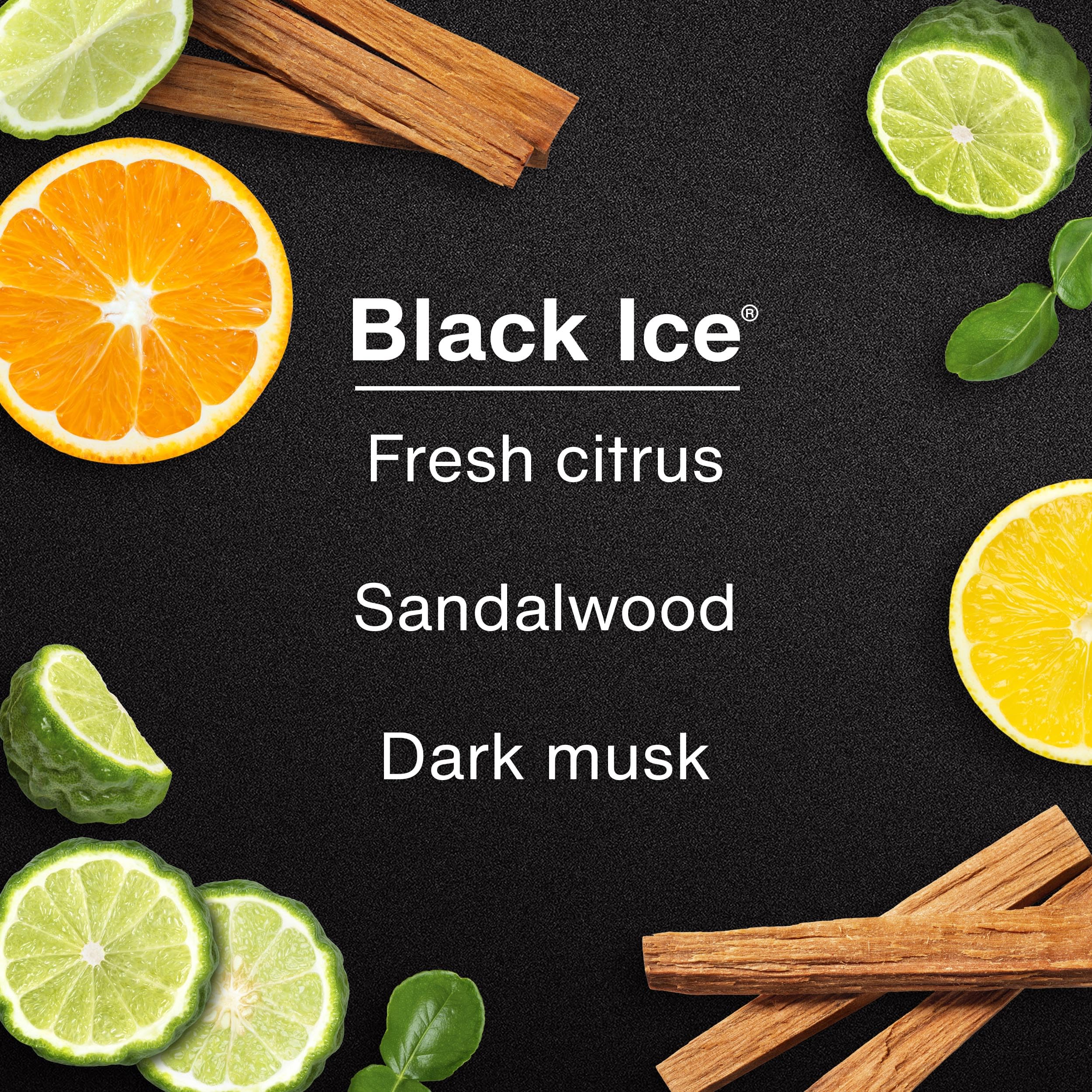LITTLE Air Fresheners Car Air Freshener. Hanging Tree Provides Long Lasting Scent for Auto or Home. Black Ice, 24 Air Fresheners 🍁 All In One Marketplace Canada
