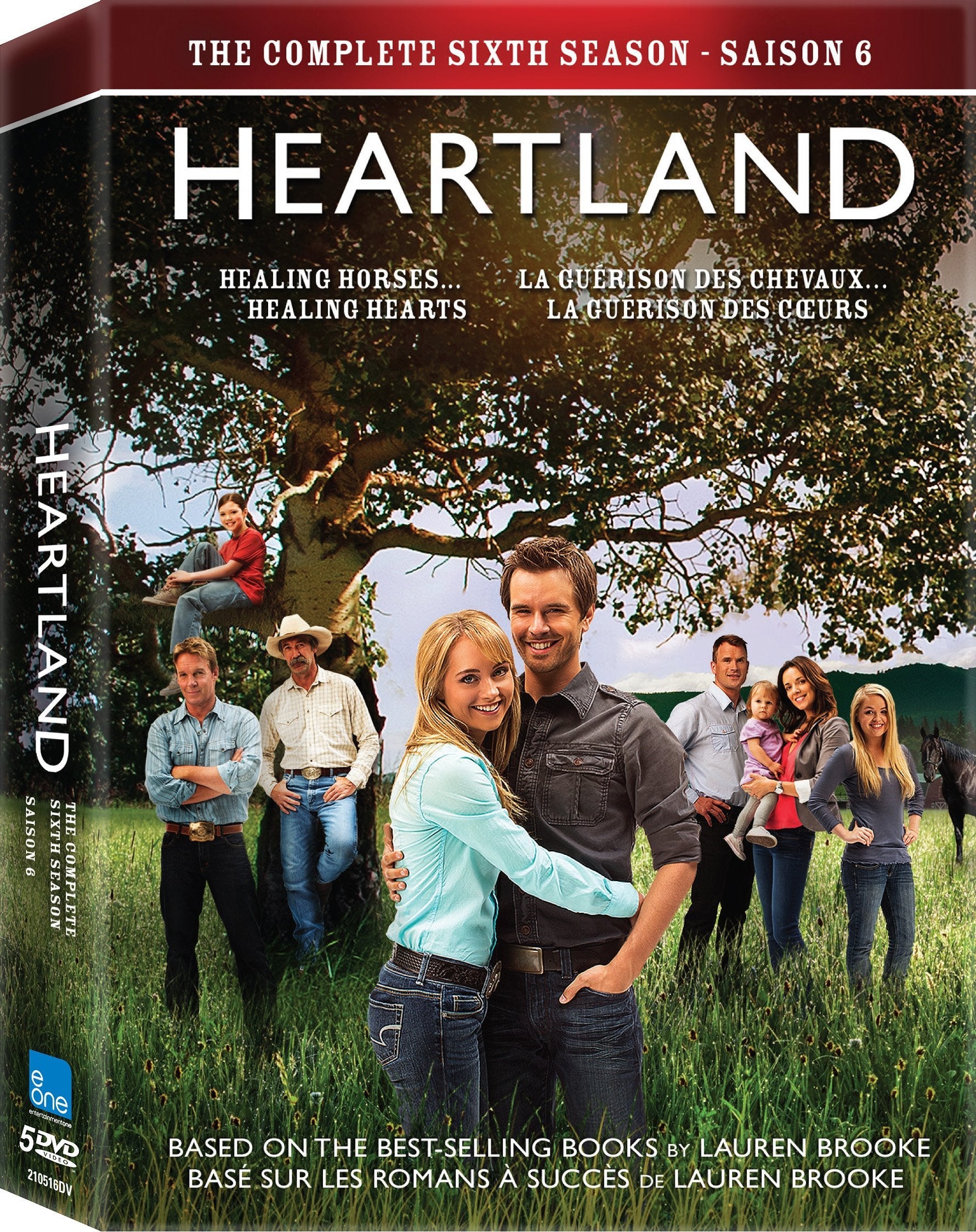 Heartland / The Complete Sixth Season - DVD