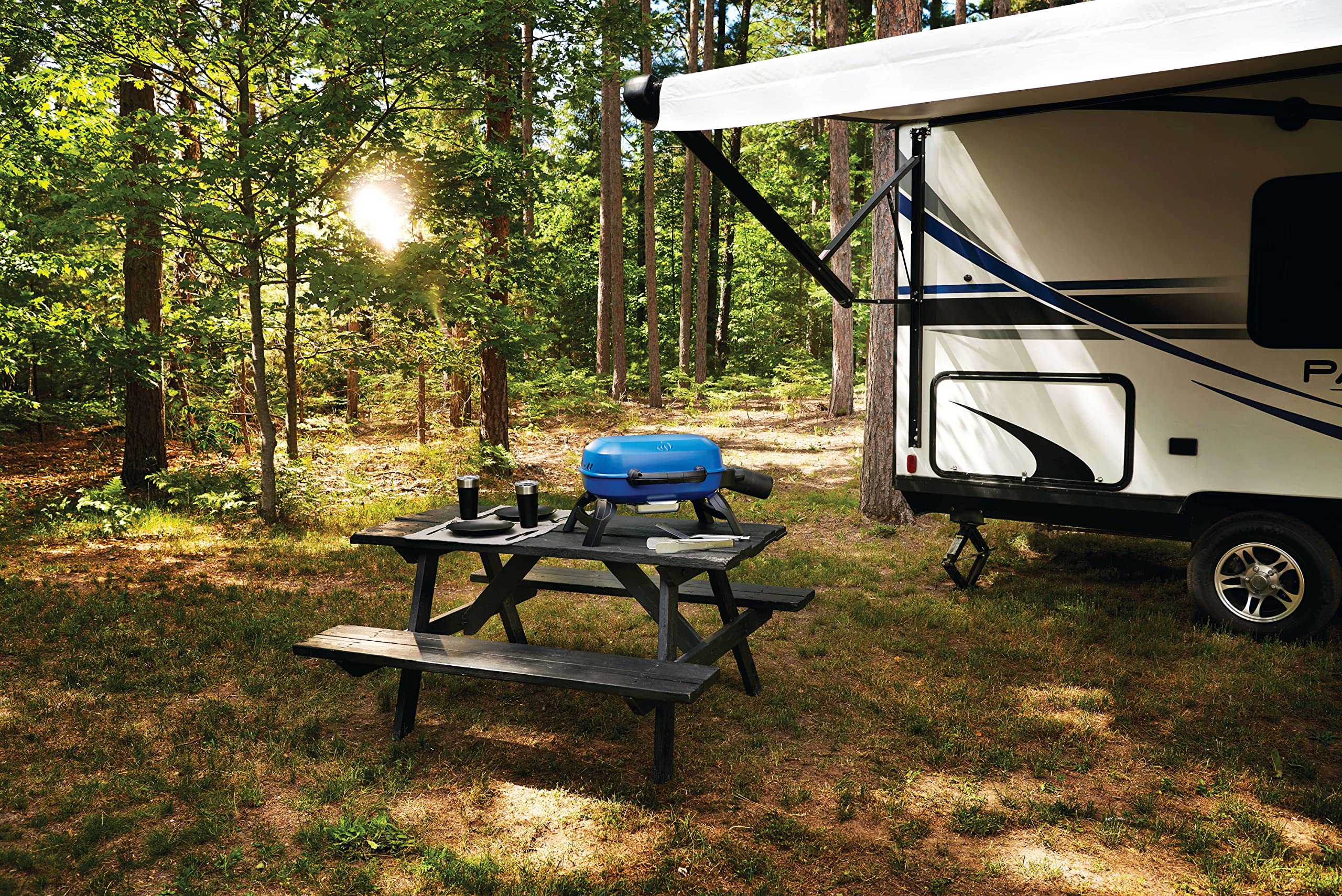 Napoleon TravelQ 240 Compact Portable Propane Grill 🍁 All In One Marketplace Canada