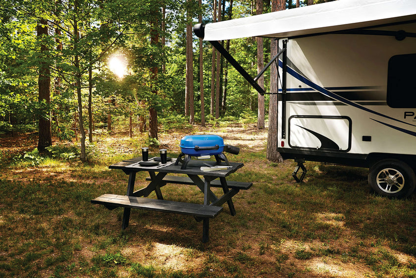 Napoleon TravelQ 240 Compact Portable Propane Grill 🍁 All In One Marketplace Canada