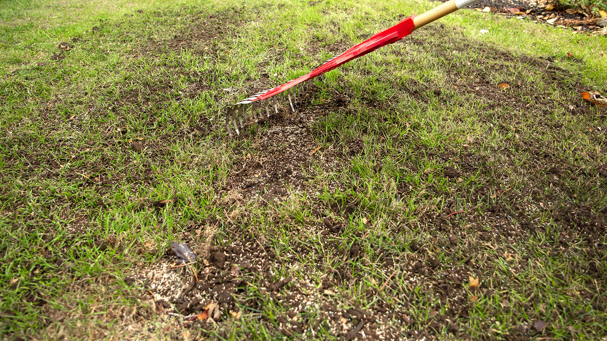 Scotts Turf Builder Quick + Thick Grass Seed (Sun and Shade Mix) - 4 kg |(576 sq Meters / 6,210 sq feet Coverage) Grow a Thick, Green Lawn Fast. for Areas that Experience Sun & Shade 🍁 All In One Marketplace Canada